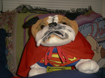 superdog.jpg